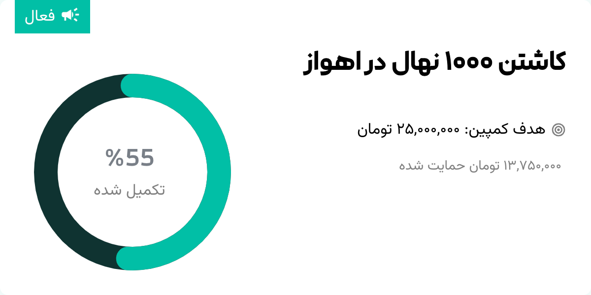 ساختن کمپین و هدف حمایت مالی